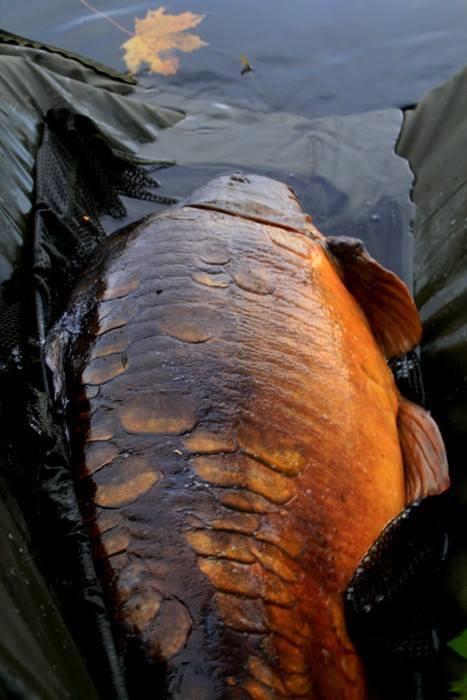 fishing 2 - 14549844432557624526331928555783n.jpg